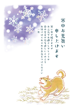 イラスト付き郵政はがき　冬の挨拶状　カラー3枚入り　KP-206