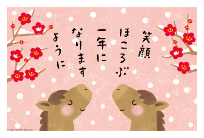イラスト付き年賀はがき　メッセージ　カラー3枚入り　XP-12